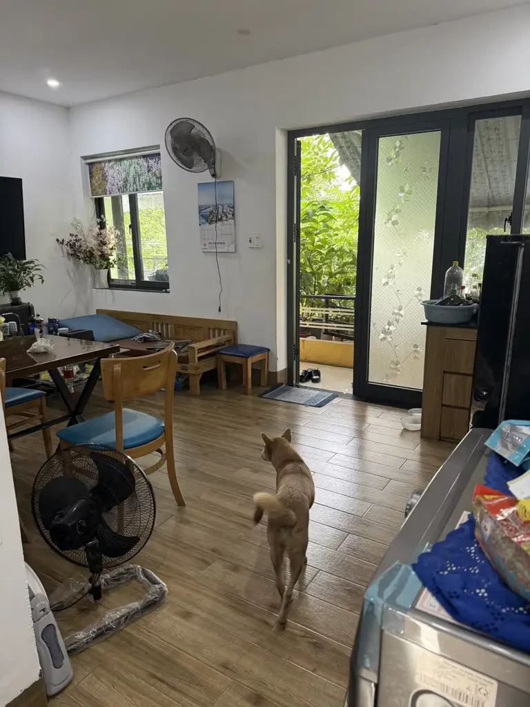 Bán nhà mặt tiền Đường Ngô Sĩ Liên Tân An, Hội An – 214 m², 2 tầng, 17,7 tỷ – ảnh 2