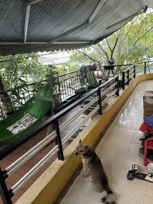 Bán nhà mặt tiền Đường Ngô Sĩ Liên Tân An, Hội An – 214 m², 2 tầng, 17,7 tỷ – ảnh 6