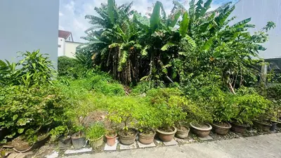 Bán đất Cửa Đại, Hội An – 179,2 m², 11,2 tỷ – ảnh 2