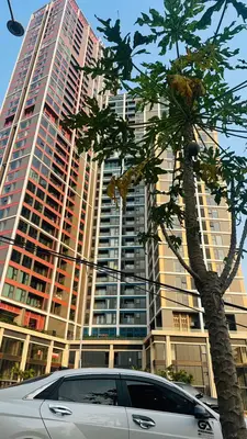 Bán nhà mặt tiền An Trung 9, Sơn Trà – 67,1 m², 4 tầng, 13 tỷ – ảnh 6