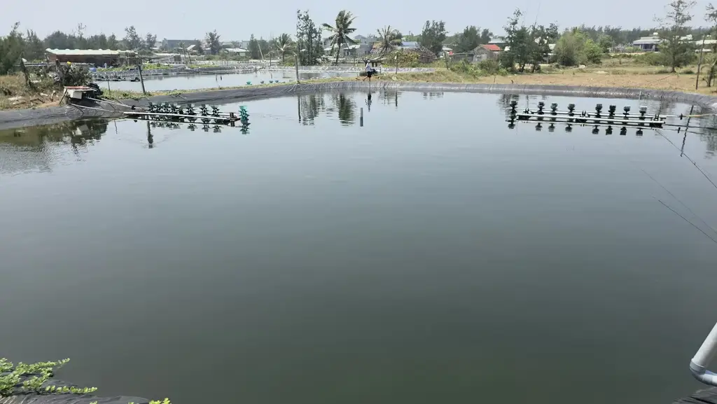 Bán đất Biển Bình Hải, Hội An – 2.785 m², 7,35 tỷ – ảnh 2