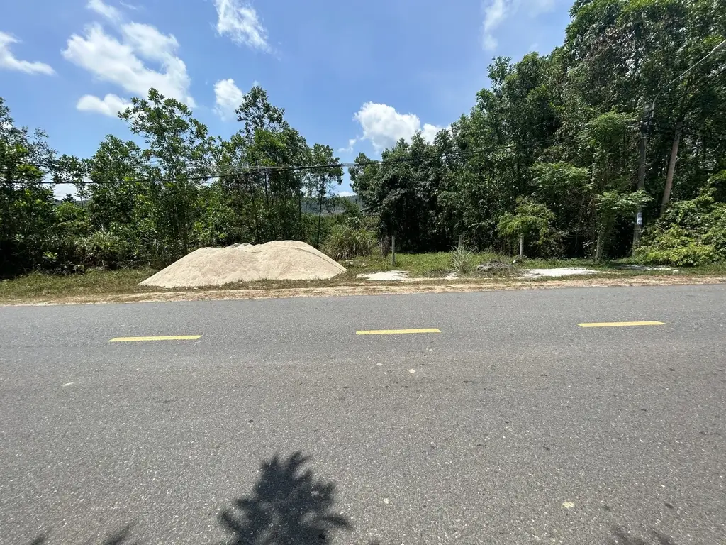 Bán đất Hòa Phú, Hòa Vang – 250 m², 1,45 tỷ – ảnh 5