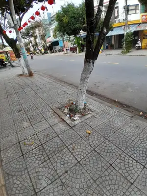 Bán nhà Hà Tông Quyền, Cẩm Lệ – 137 m², 3 tầng, 11,5 tỷ – ảnh 8