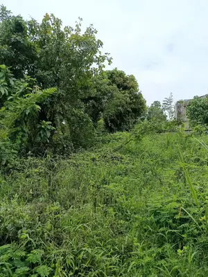 Bán nhà QUANG CHÂU HÒA XUÂN MỚI, Hòa Vang – 100 m², 5 tầng, 2,95 tỷ – ảnh 4