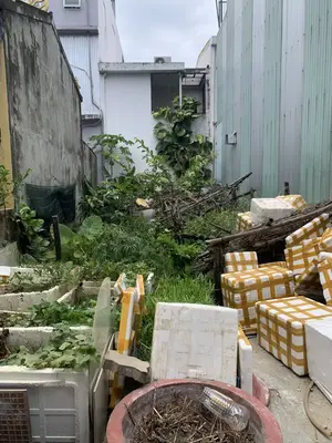 Bán đất mặt tiền Đào Duy Kỳ, Sơn Trà – 88 m², 8,2 tỷ – ảnh 3