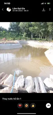 Bán nhà cấp 4 mặt tiền Hòa Phú, Hòa Vang – 22.000 m², 16,5 tỷ – ảnh 6
