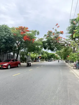 Bán đất mặt tiền Nguyễn Duy Trinh, Ngũ Hành Sơn – 101 m², 6,9 tỷ – ảnh 7