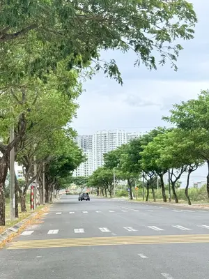Bán đất mặt tiền Nguyễn Duy Trinh, Ngũ Hành Sơn – 101 m², 6,9 tỷ – ảnh 10
