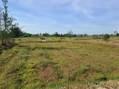 Bán đất Thăng Bình, Quảng Nam (khu khác) – 940 m², 390 triệu – ảnh 3