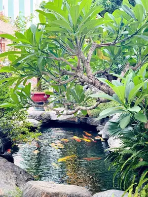 Bán nhà Kiệt Lưu Quang Thuận, Ngũ Hành Sơn – 871 m², 3 tầng, 90 tỷ – ảnh 3