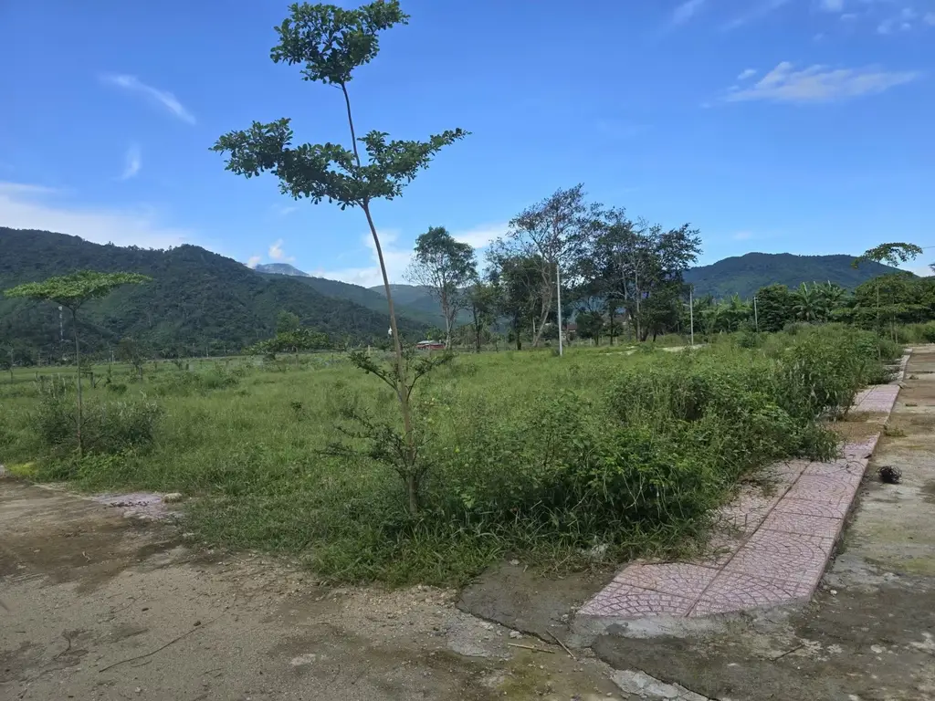 Bán đất mặt tiền Thôn Nam Yên Xã Hòa Bắc, Hòa Vang – 1.797 m², 4,75 tỷ – ảnh 3