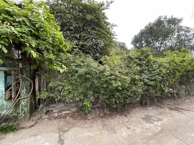 Bán đất Nguyễn Văn Cừ, Liên Chiểu – 100 m², 1,95 tỷ – ảnh 2