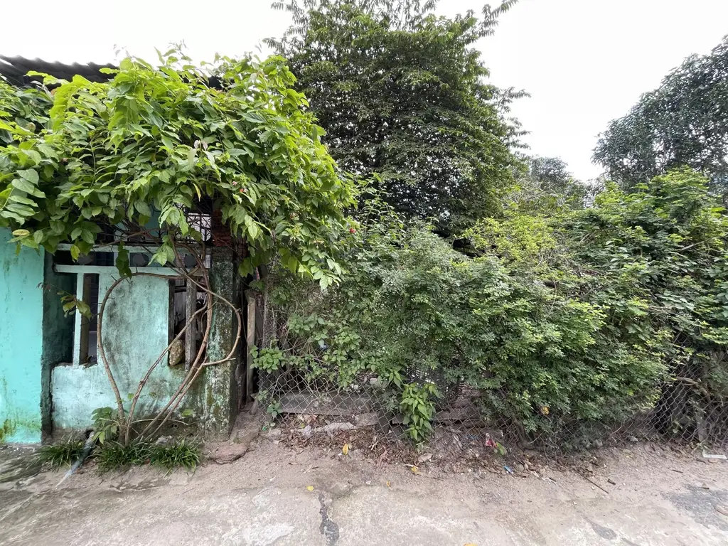 Bán đất Nguyễn Văn Cừ, Liên Chiểu – 100 m², 1,95 tỷ – ảnh 5