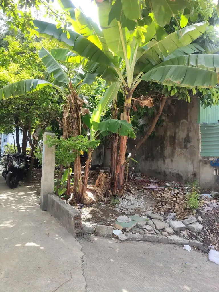 Bán đất Kiệt Tôn Đản, Thanh Khê – 140 m², 3,85 tỷ – ảnh 3