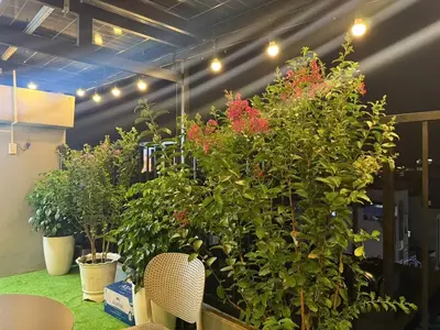 Bán nhà mặt tiền Chính Hữu, Sơn Trà – 88 m², 8 tầng, 36 tỷ – ảnh 9