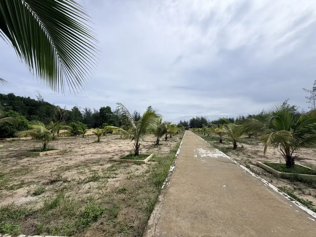 Bán đất mặt tiền Thanh Niên, Hội An – 5.055 m², 32 tỷ – ảnh 3