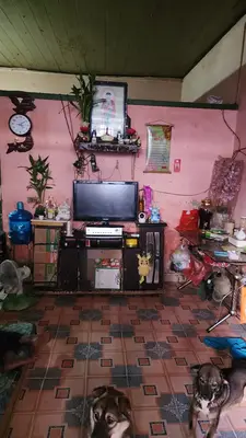Bán nhà cấp 4 Kiệt Ngô Quyền, Sơn Trà – 65,3 m², 4,8 tỷ