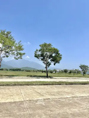 Bán đất mặt tiền Golden Hills Khu A, Liên Chiểu – 187,5 m², 6,95 tỷ – ảnh 3