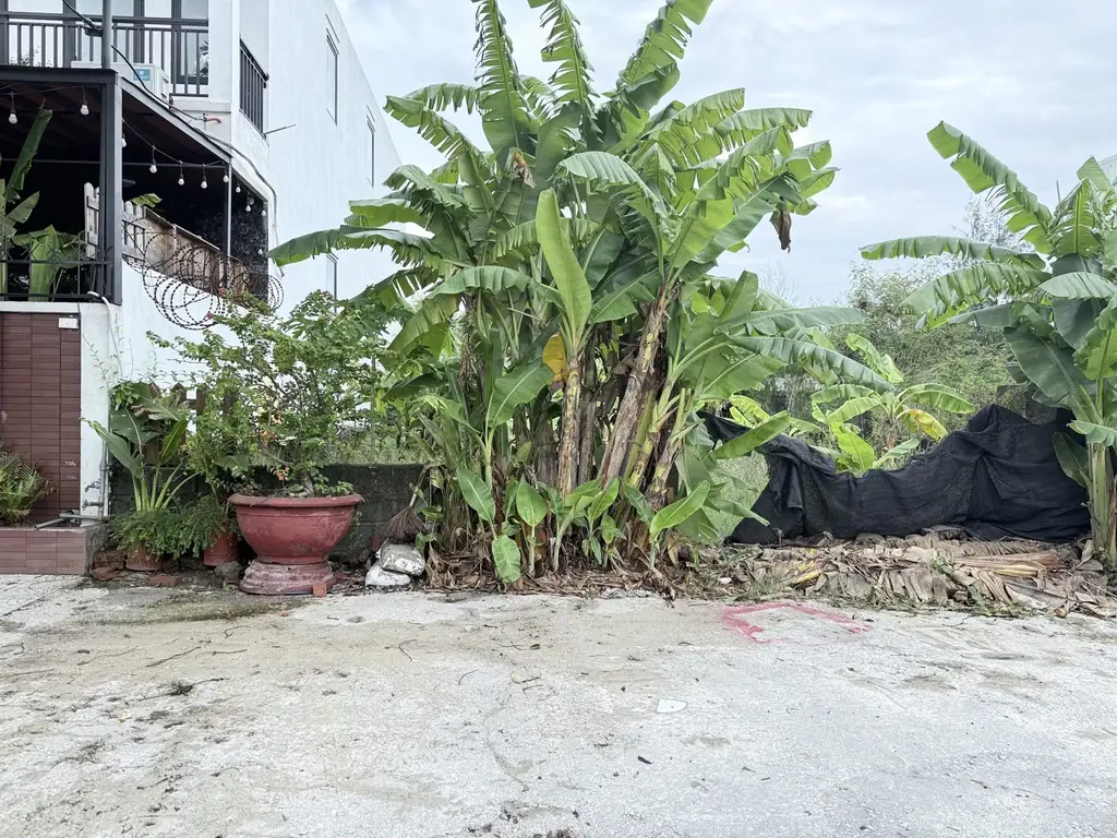 Bán đất Trần Sâm, Sơn Trà – 180 m², 11,9 tỷ – ảnh 2