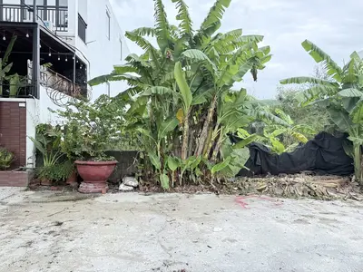 Bán đất Trần Sâm, Sơn Trà – 180 m², 11,9 tỷ – ảnh 2
