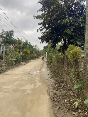 Bán đất Chè Tàu 1, Điện Bàn – 379 m², 4,99 tỷ