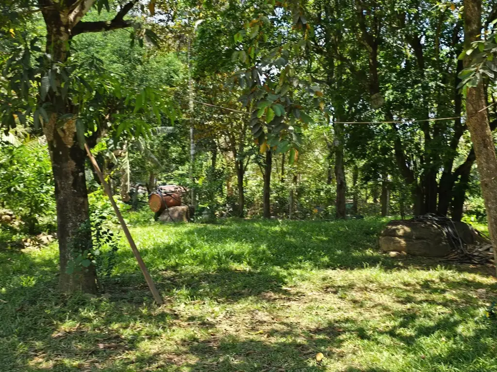 Bán đất mặt tiền Thôn Nam Mỹ Xã Hòa Bắc, Hòa Vang – 35.381 m², 21 tỷ – ảnh 4