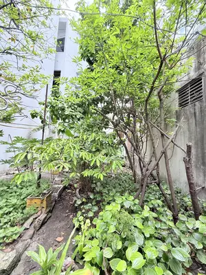 Bán đất Trưng Nữ Vương, Hải Châu – 185 m², 9,5 tỷ – ảnh 9
