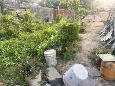 Bán nhà cấp 4 Trần Hưng Đạo, Điện Bàn – 565 m², 18,5 tỷ – ảnh 2