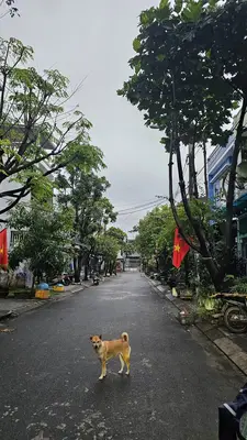 Bán nhà mặt tiền Bàu Năng 9, Liên Chiểu – 85 m², 2 tầng, 7 tỷ – ảnh 2