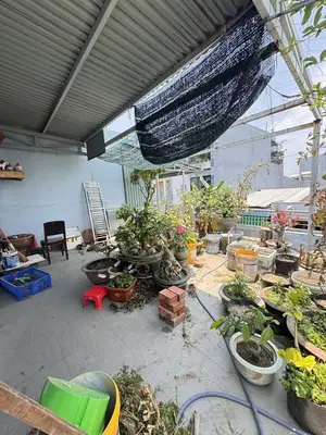 Bán nhà Kiệt Lương Thế Vinh, Sơn Trà – 158,9 m², 2 tầng, 11,5 tỷ – ảnh 3