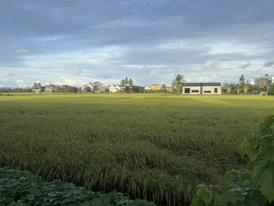 Bán đất mặt tiền Trần Nhân Tông Hội An, Hội An – 377,5 m², 12 tỷ – ảnh 2