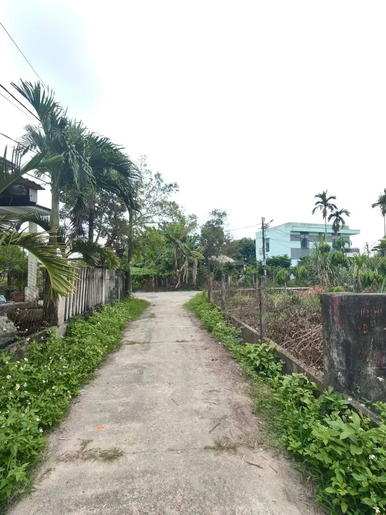 Bán đất Thôn Tân Hạnh, Hòa Vang – 126,5 m², 2,15 tỷ – ảnh 3