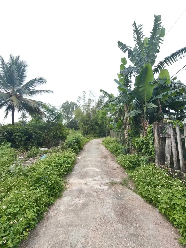 Bán đất Thôn Tân Hạnh, Hòa Vang – 126,5 m², 2,15 tỷ – ảnh 5