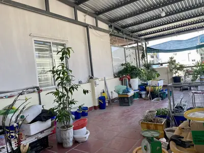Bán nhà Kiệt Trưng Nữ Vương, Hải Châu – 74 m², 3 tầng, 6,5 tỷ – ảnh 9