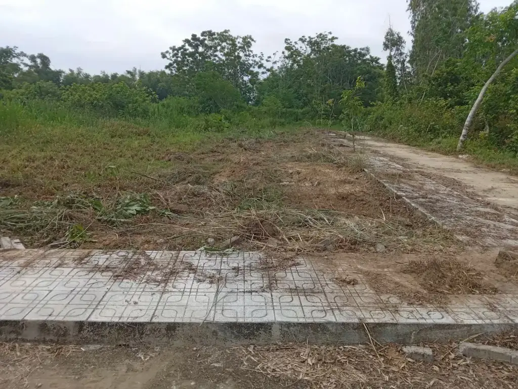 Bán đất Thôn Nam Hà, Điện Trung, Điện Bàn, Quảng Nam (khu khác) – 128 m², 800 triệu – ảnh 5