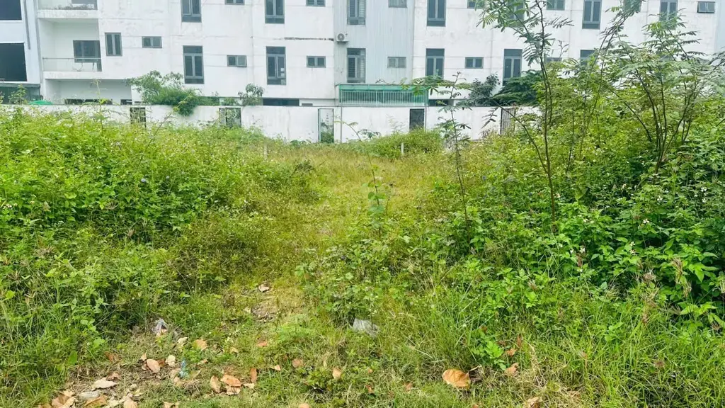 Bán đất mặt tiền Võ Tự, Liên Chiểu – 250,4 m², 9,9 tỷ – ảnh 3