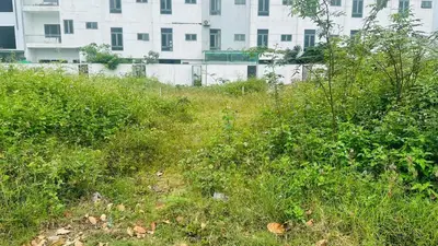 Bán đất mặt tiền Võ Tự, Liên Chiểu – 250,4 m², 9,9 tỷ – ảnh 3