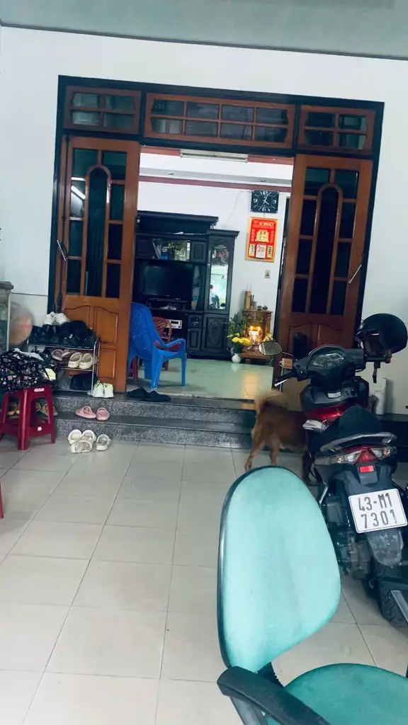 Bán nhà cấp 4 mặt tiền Nguyễn Hữu Thọ, Cẩm Lệ – 120 m², 13,5 tỷ – ảnh 4