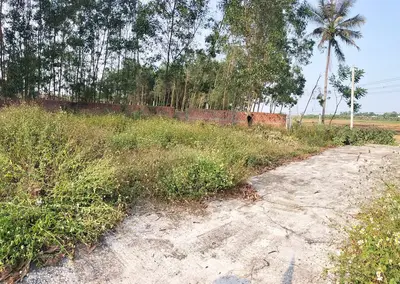 Bán đất Thôn Cẩm Toại Trung Hòa Phong, Hòa Vang – 260 m², 2,1 tỷ – ảnh 6