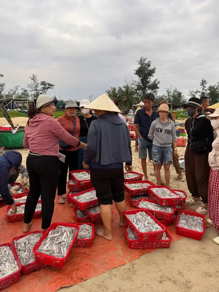Bán đất Thôn Tân An Nam Hội An Biển Bình Minh, Quảng Nam (khu khác) – 160 m², 1,92 tỷ – ảnh 3