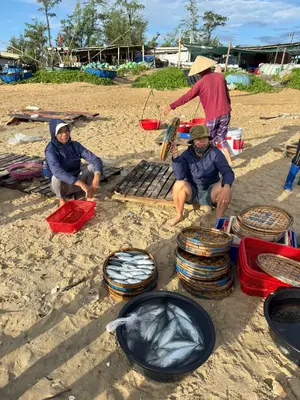 Bán đất Thôn Tân An Nam Hội An Biển Bình Minh, Quảng Nam (khu khác) – 160 m², 1,92 tỷ – ảnh 5