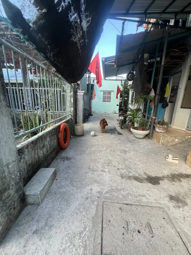 Bán đất Lê Tấn Trung, Sơn Trà – 264 m², 11 tỷ – ảnh 3