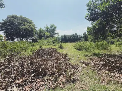 Bán đất Miếu Khánh – An Phú, Quảng Nam (khu khác) – 1.050 m², 980 triệu