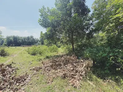 Bán đất Miếu Khánh – An Phú, Quảng Nam (khu khác) – 1.050 m², 980 triệu – ảnh 4