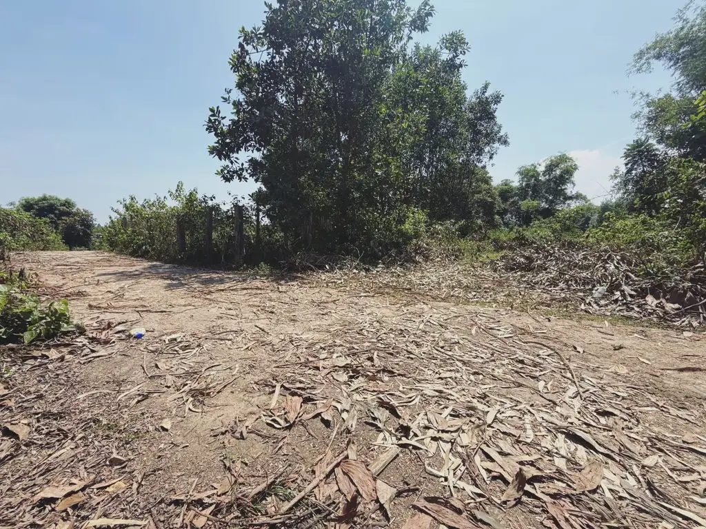 Bán đất Miếu Khánh – An Phú, Quảng Nam (khu khác) – 1.050 m², 980 triệu – ảnh 5