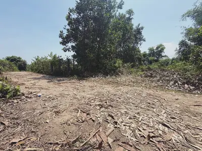 Bán đất Miếu Khánh – An Phú, Quảng Nam (khu khác) – 1.050 m², 980 triệu – ảnh 5