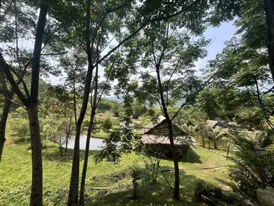 Bán nhà cấp 4 Thôn Nam Mỹ Hòa Bắc, Hòa Vang – 14.714 m², 5,7 tỷ – ảnh 7