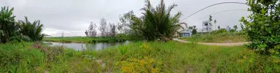 Bán đất mặt tiền Đất Cẩm Nam (cũ, Hội An – 314,7 m², 9,9 tỷ – ảnh 2