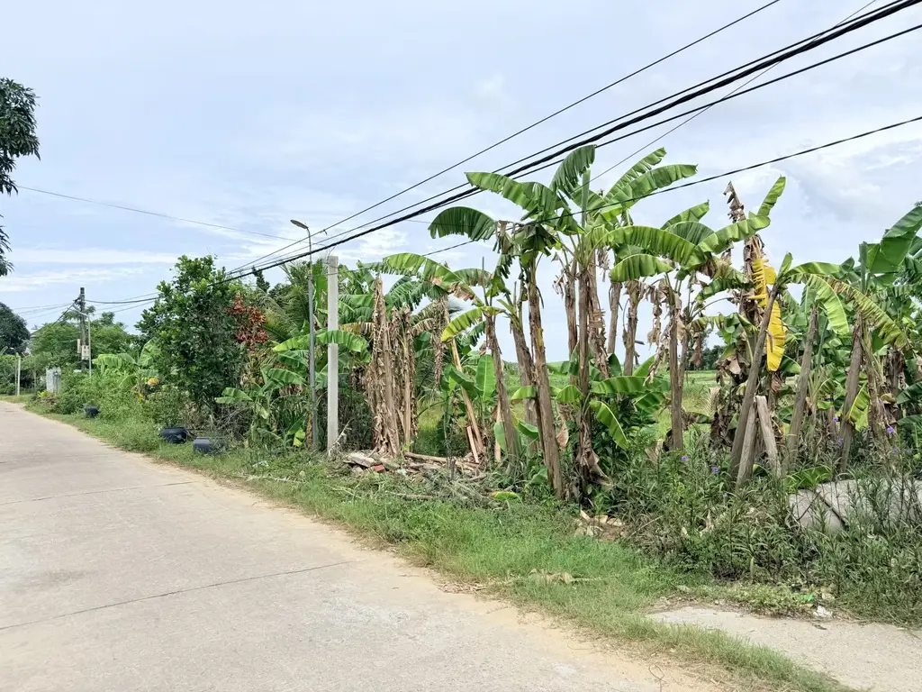Bán đất Thôn Vân Tiên – Thăng An, Quảng Nam (khu khác) – 200 m², 1,7 tỷ – ảnh 2