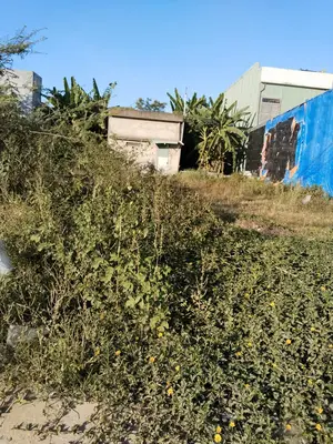Bán đất mặt tiền Trà Na 3, Liên Chiểu – 94,7 m², 2,65 tỷ – ảnh 3